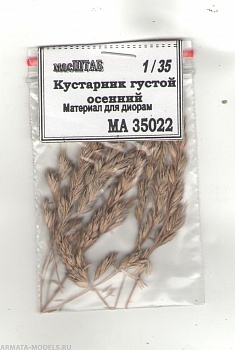 35022 Кустарник густой осенний