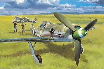 81721 Самолет Focke-Wulf FW190D-13