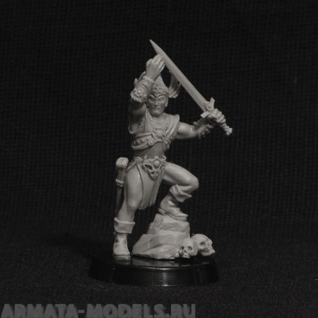 barb barbarian king BROTHER VINNI's